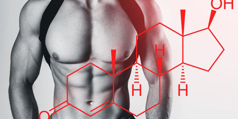 Muskulöser Oberkörper eines Mannes mit einer schematischen Darstellung der chemischen Struktur von Testosteron – Symbol für Muskelaufbau, Kraft & Testosteron-Optimierung.