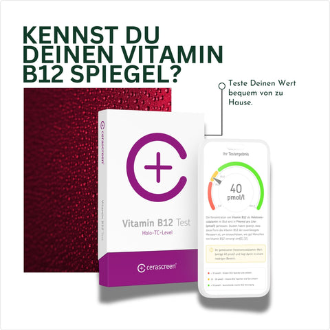 Vitamin B12 Test