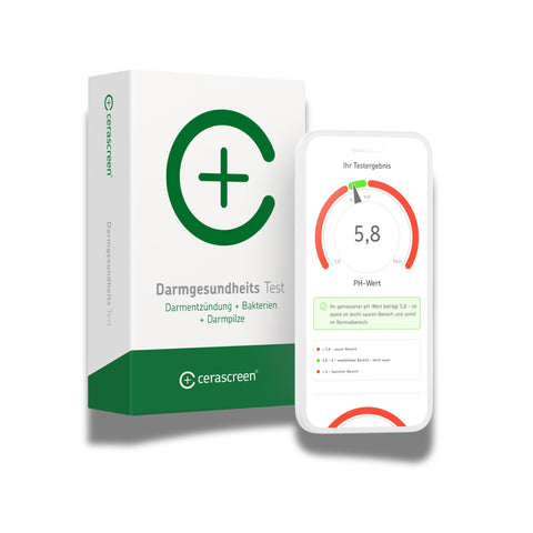 Darmgesundheits Test