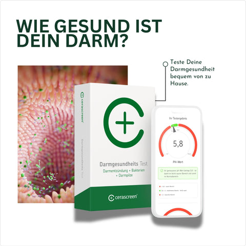 Darmgesundheits Test