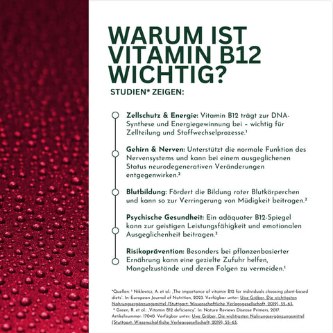 Vitamin B12 Test