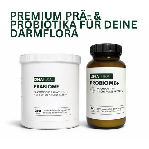 Präbiome Ballaststoffe